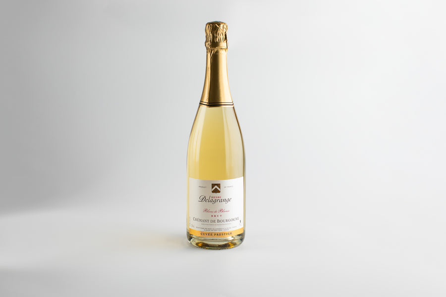 Bottle of white wine with a gold foil cap on a light gray background