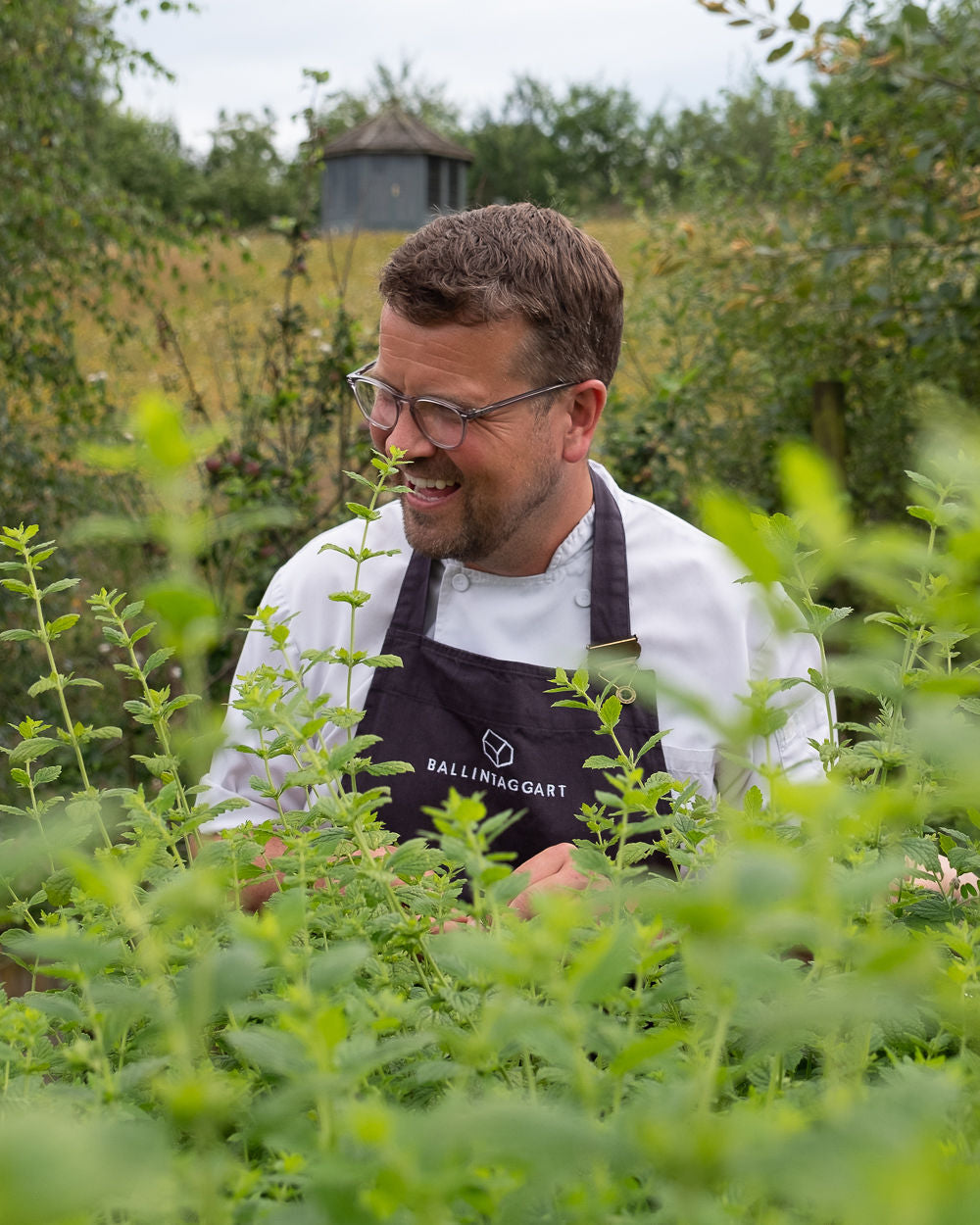 Preserving the Seasons | Residential Cook School: 23.10.26 - 25.10.26