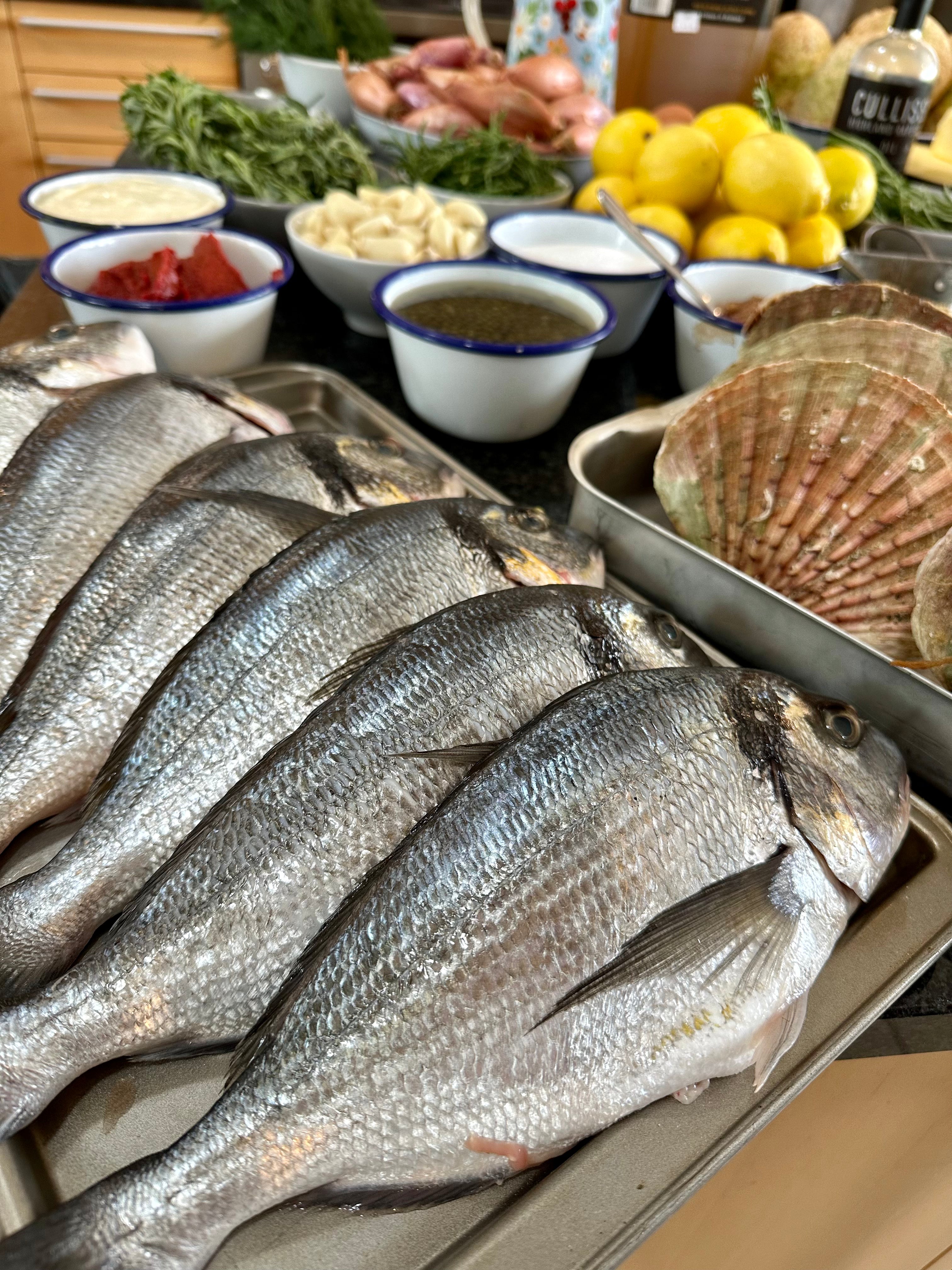 24.09.2026 - Fish & Shellfish