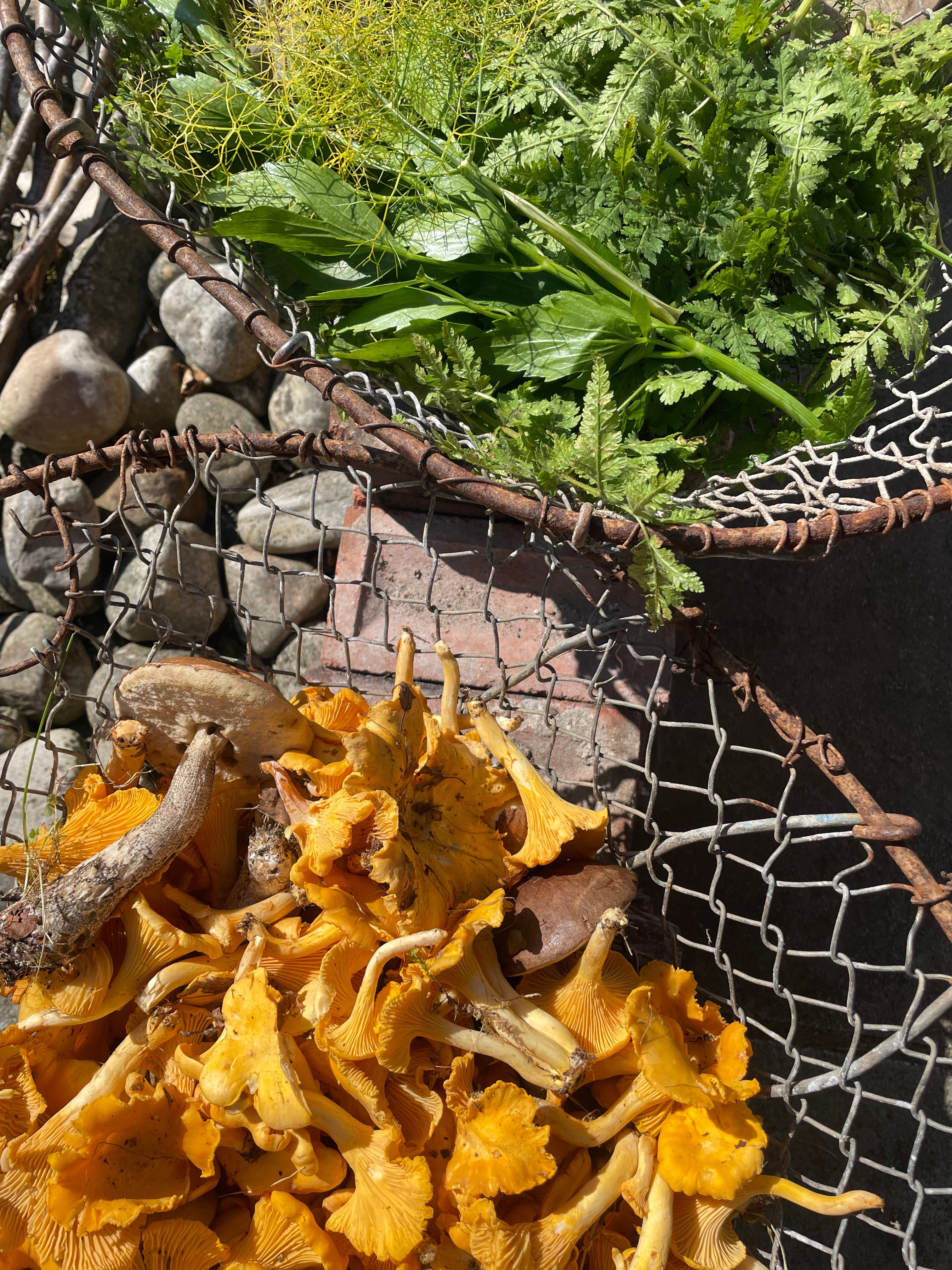 18.07.2026 - Fire & Foraging