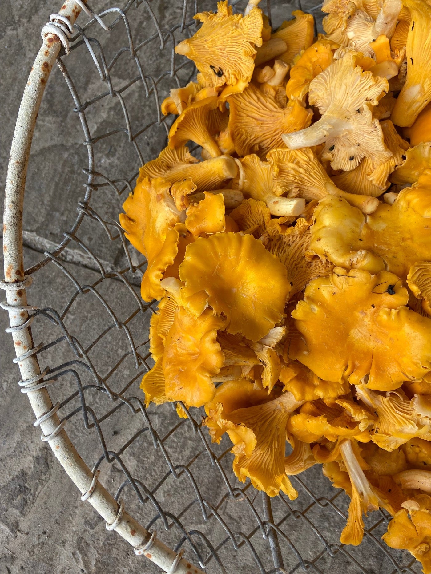 15.01.2026 - Winter Warmers