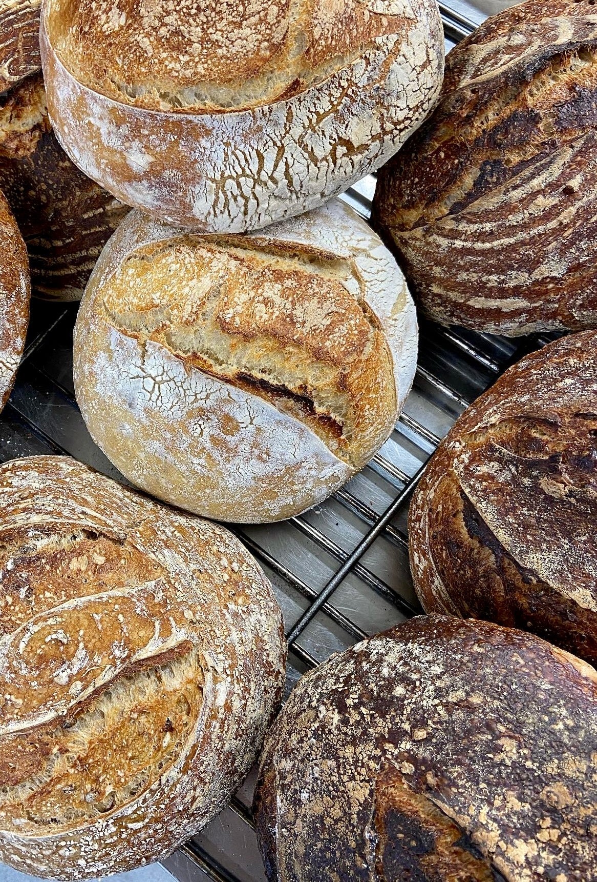 14.01.2026- Introduction To Bread